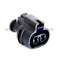 Female MG640795-5 2 pin automotive wire connectors