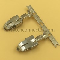 Automotive Wire Harness Connector Terminals